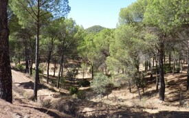 Parque Natural de las Sierras de Andújar